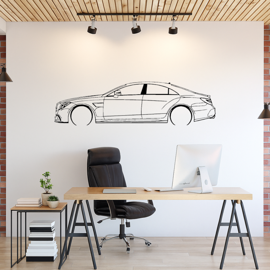 Mercedes CLS W218 - Tablou Contur Metalic Lateral